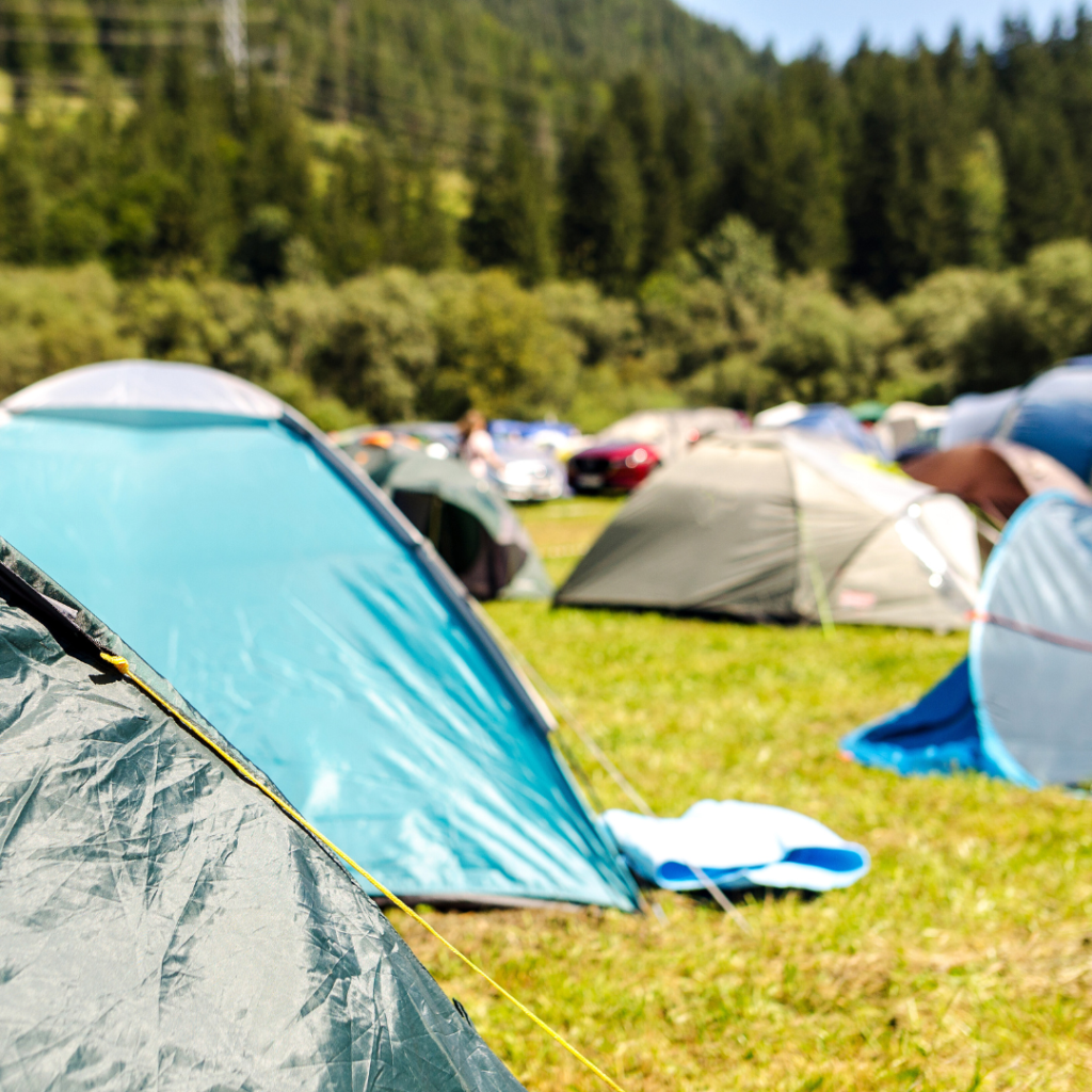 Micropobles col·labora amb entitats escoltes i Joventut per cercar espais aptes per l’acampada arreu de Catalunya