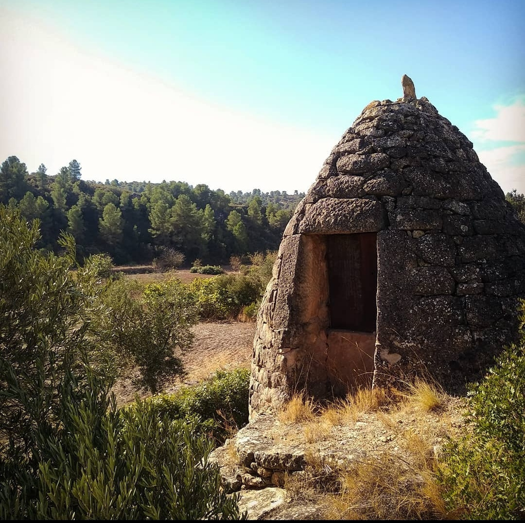 Una cabana de pedra seca de forma de con, situada en l'extrem d'un camp. Es veu un bosc a prop
