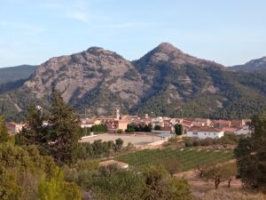 Vista de conjunt del poble de Bot, amb muntanyes al darrera i fruiters i altres arbres en primer terme