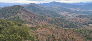 Vista de boscos en vessant de muntanya